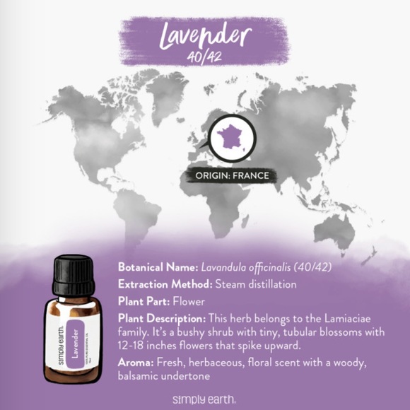 Simply Earth Lavender 40/42 Essential Oil - Picture 4 of 6